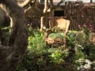 Pernod Ricard brings wine to life with living house 